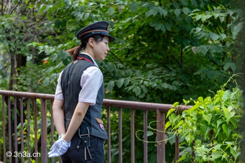 Waiting for the other train