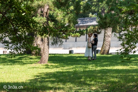 On the grass, in the shadow